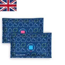 250g Reusable Car Dehumidifier