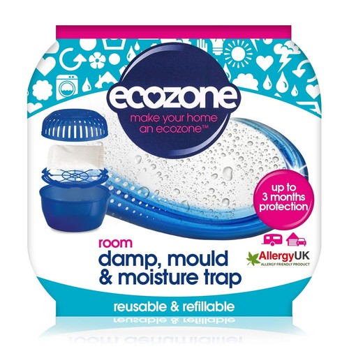 Ecozone room damp mould - room,